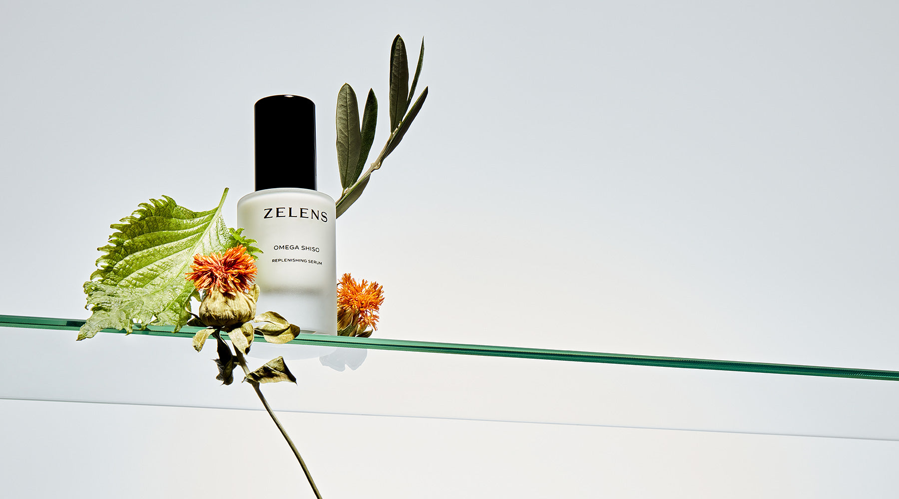 New: Omega Shiso Replenishing Serum