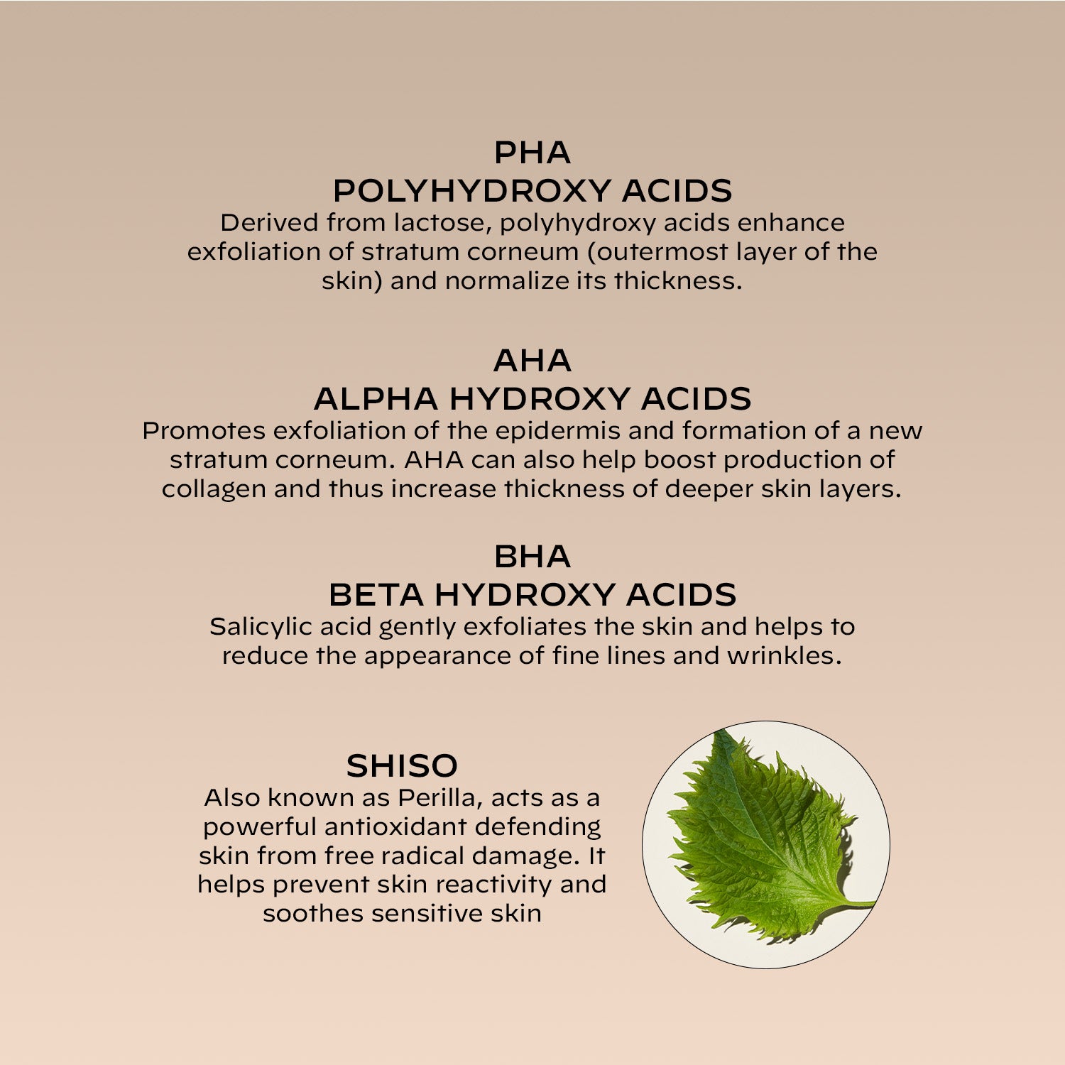 Informational graphic about different types of hydroxy acids with text and a leaf illustration on a beige background.