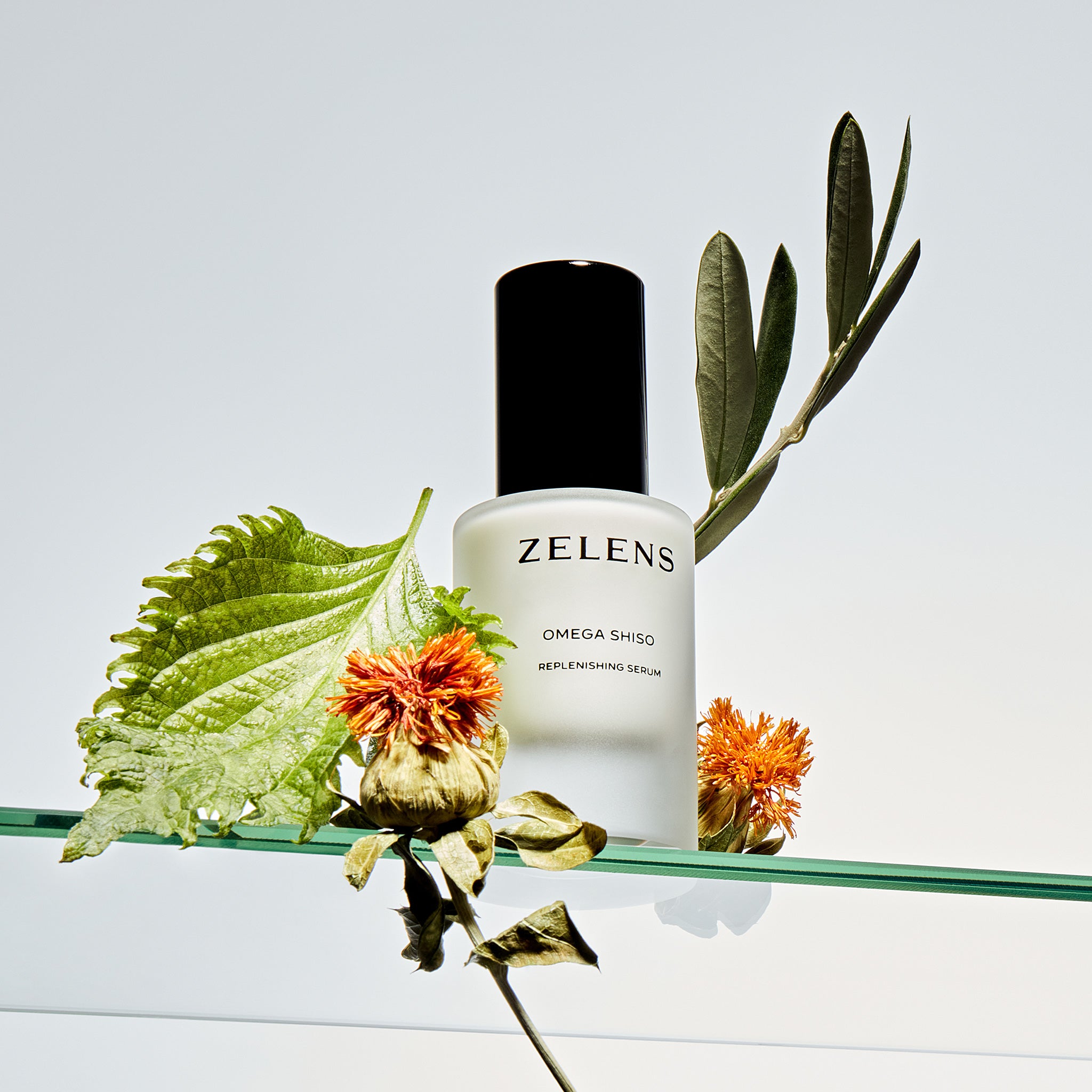 Omega Shiso - Replenishing Serum
