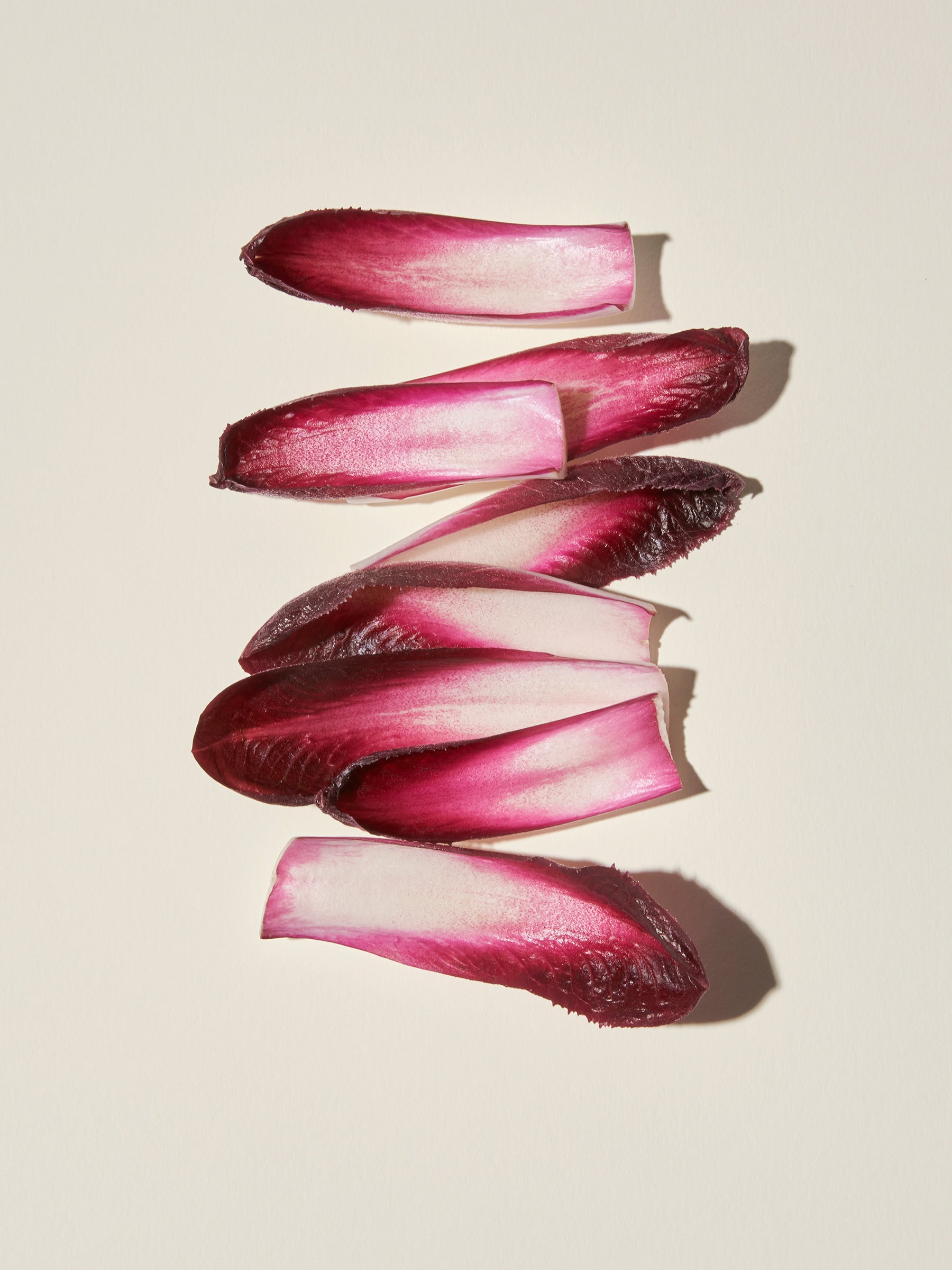 Chicory root