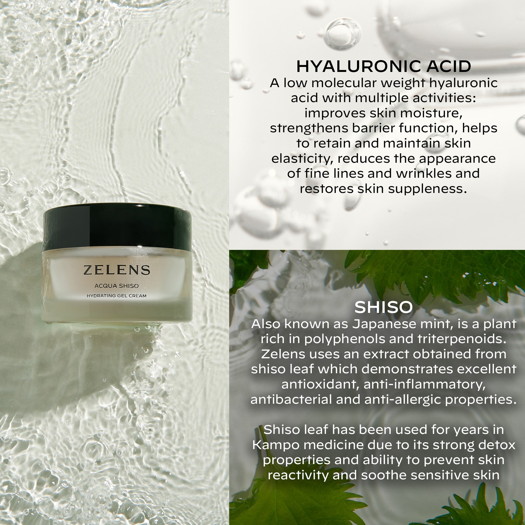 Acqua Shiso - Hydrating Gel Cream