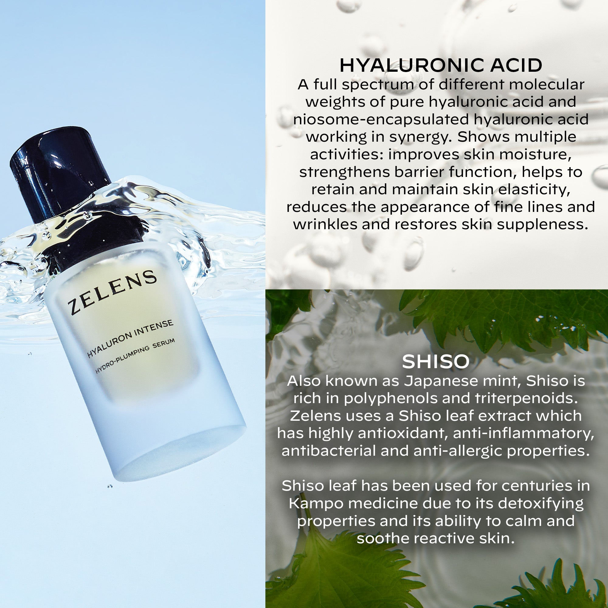 Hyaluron Intense Hydro-Plumping Serum | Zelens